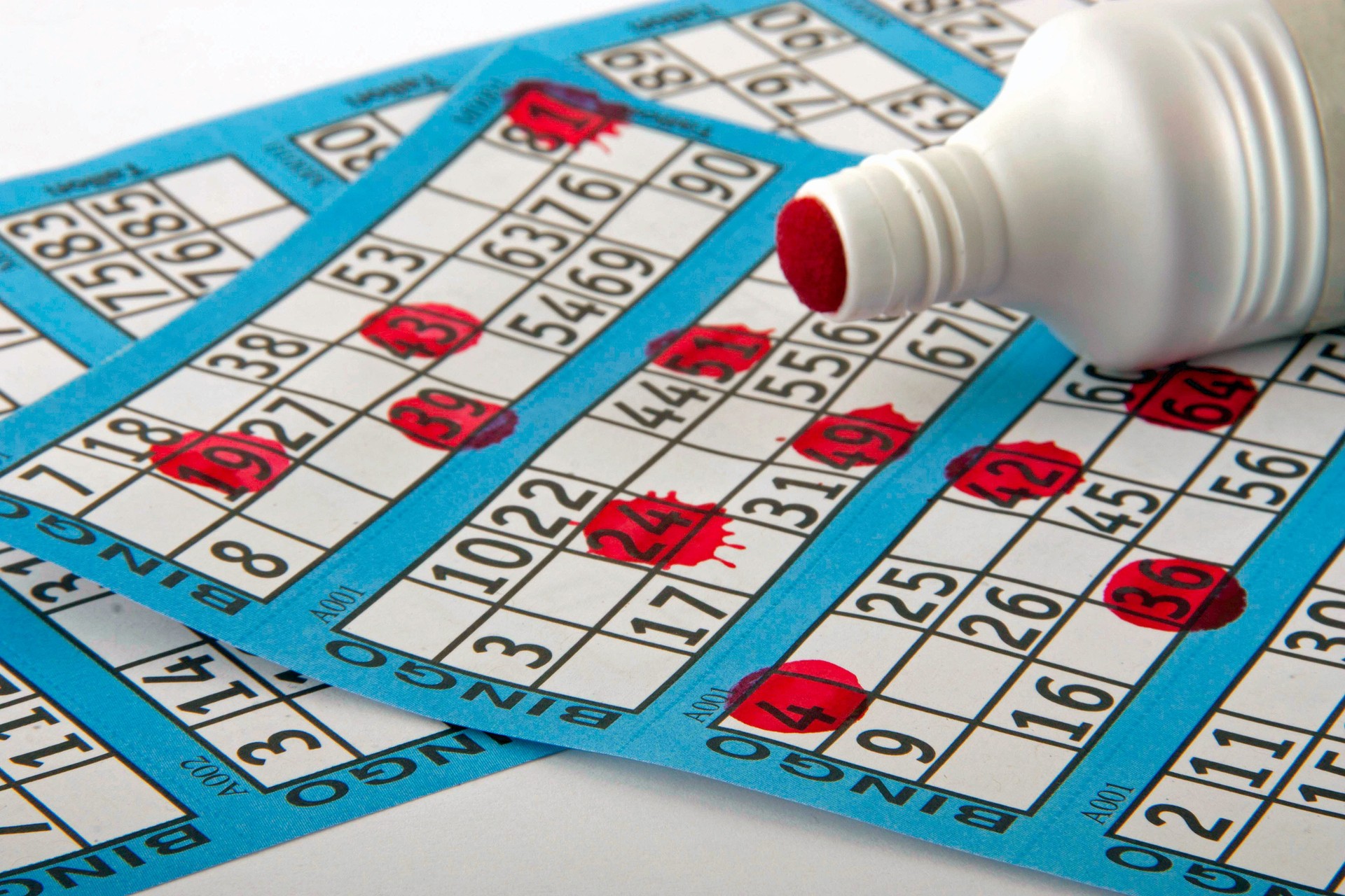 Bingo Card and Dabber